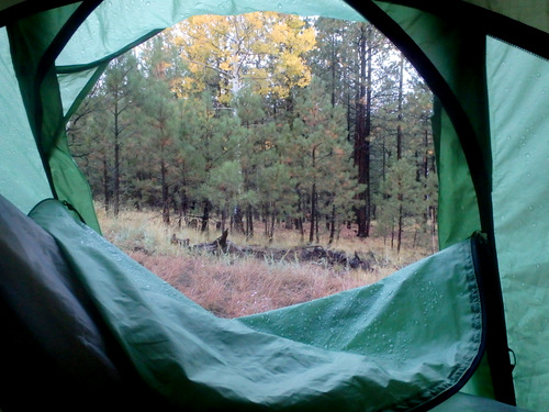 GDMBR: Morning comes to Cibola National Forest.